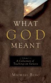 Tapa de What God Meant Volume 1
What God Meant