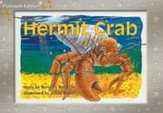 Tapa de Hermit Crab