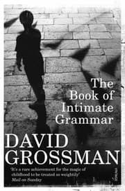 Tapa de The Book Of Intimate Grammar