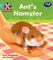 Tapa de Ants Hamster
