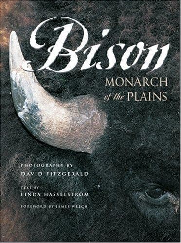 Tapa de Bison