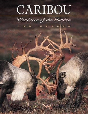 Tapa de Caribou