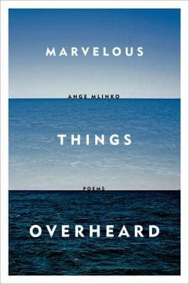 Tapa de Marvelous Things Overheard