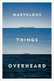 Tapa de Marvelous Things Overheard