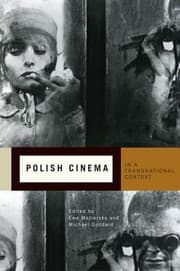Tapa de Polish Cinema In A Transnational Context