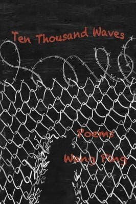 Tapa de Ten Thousand Waves Poems