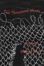 Tapa de Ten Thousand Waves Poems