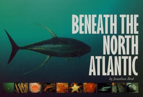 Tapa de Beneath the North Atlantic