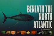 Tapa de Beneath the North Atlantic