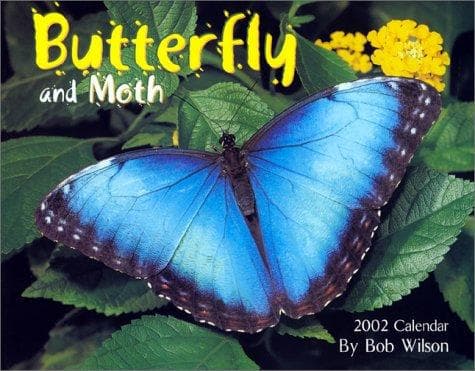 Tapa de Butterfly and Moth 2002 Calendar