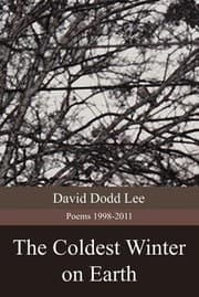 Tapa de The Coldest Winter On Earth Poems 19982011