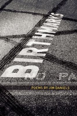 Tapa de Birth Marks Poems