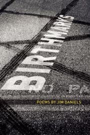 Tapa de Birth Marks Poems