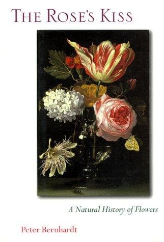 Tapa de The Rose's Kiss