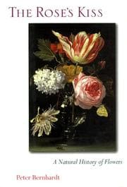 Tapa de The Rose's Kiss