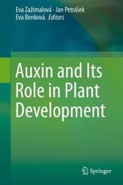 Tapa de Auxin And Its Role In Plant Development