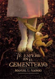 Tapa de Te espero en el cementerio