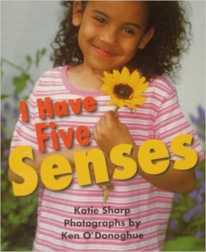 Tapa de I Have Five Senses