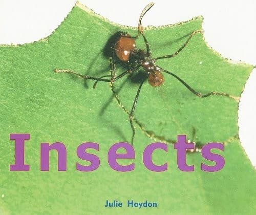 Tapa de Insects