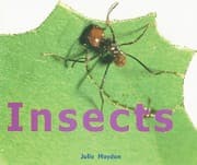 Tapa de Insects