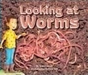 Tapa de Looking for Worms
