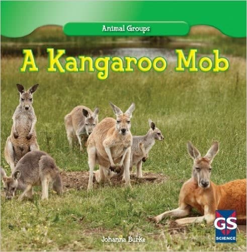Tapa de A kangaroo mob