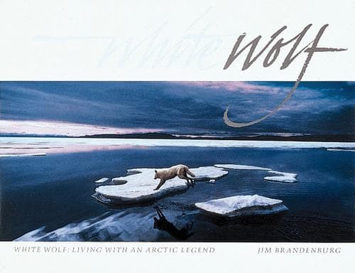 Tapa de White wolf