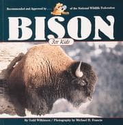 Tapa de Bison for kids