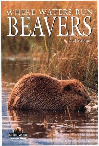 Tapa de Beavers