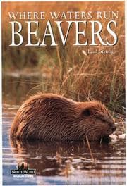 Tapa de Beavers