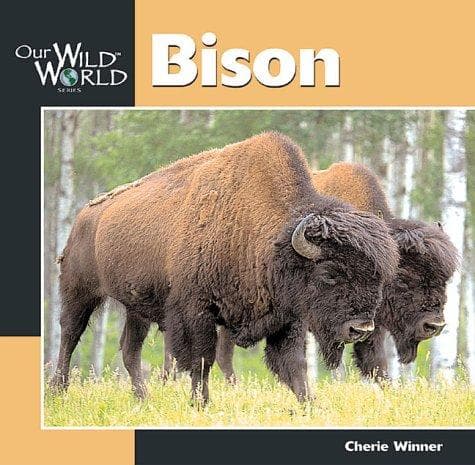 Tapa de Bison (Our Wild World)