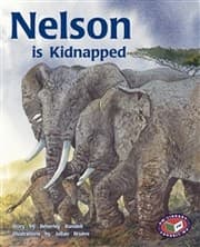 Tapa de Nelson is kidnapped (PM story books)