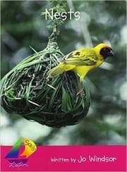 Tapa de Nests