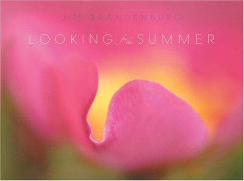 Tapa de Looking for the Summer