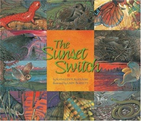Tapa de The Sunset Switch