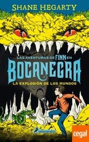 Tapa de Las aventuras de Finn en Bocanegra