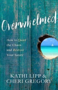 Tapa de Overwhelmed