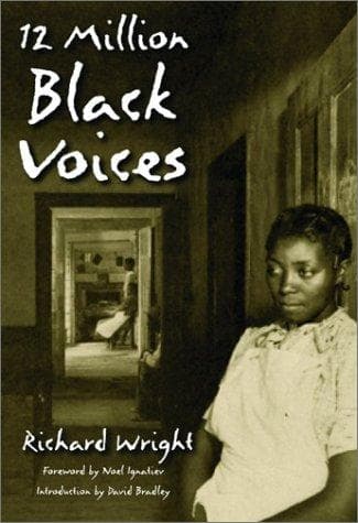 Tapa de Twelve million black voices