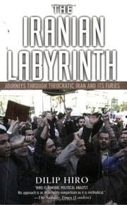 Tapa de The Iranian labyrinth