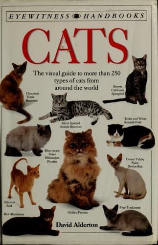 Tapa de Cats