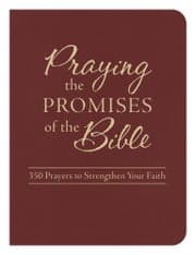 Tapa de Praying the Promises of the Bible