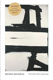Tapa de Ozone Journal