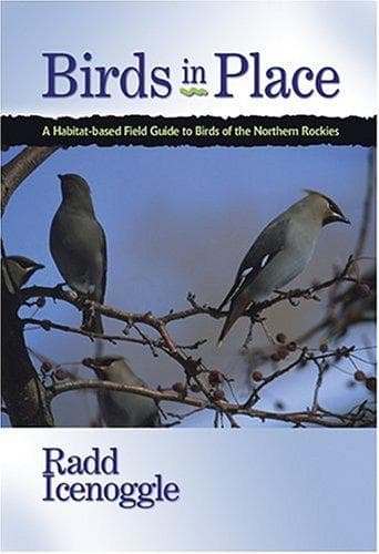 Tapa de Birds in place
