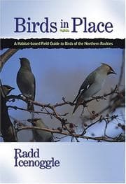 Tapa de Birds in place