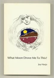 Tapa de What moon drove me to this?