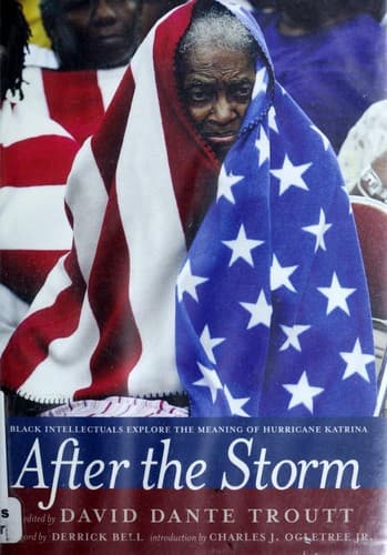 Tapa de After the storm
