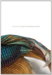 Tapa de Lucky fish
