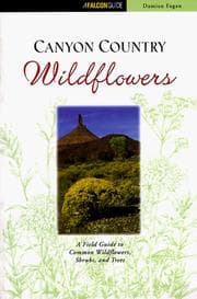 Tapa de Canyon country wildflowers