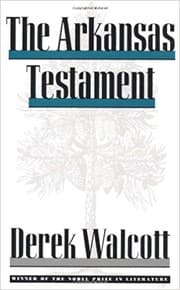 Tapa de The Arkansas testament