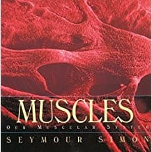 Tapa de Muscles Our Muscular System